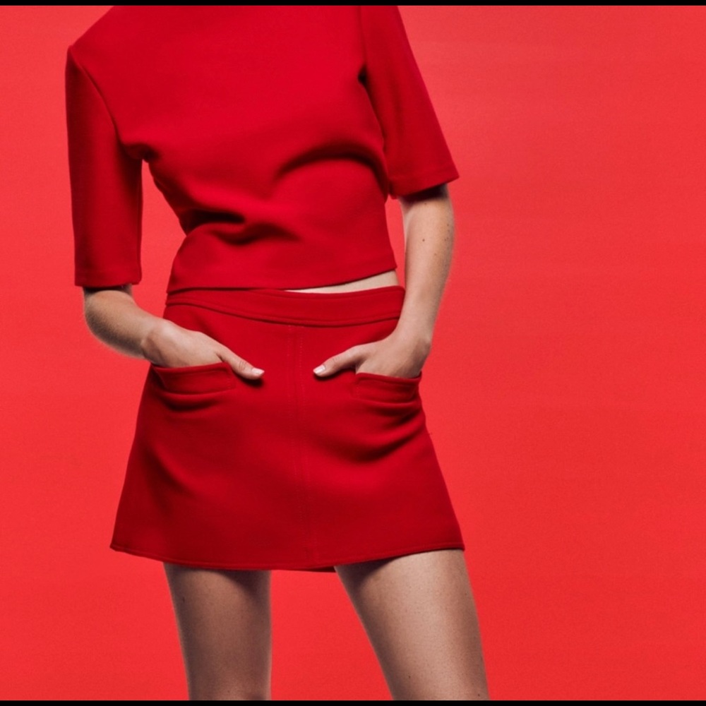 NWT Zara 2-Piece knit top and skirt set